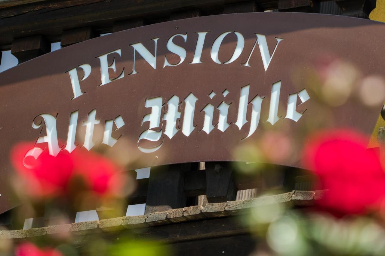 Pension Alte Muehle Gmund in Karnten Exterior photo